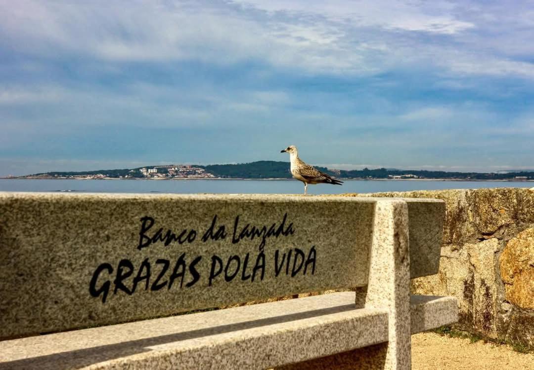 Vut "O Pazo" Sanxenxo Os Espera Apartamento Exterior foto